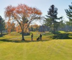 FALL GOLF SILHOUETTES